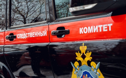 В Ульяновске проверяются обстоятельства травмирования девочки