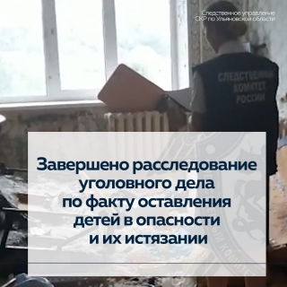 В Ульяновске завершено расследование уголовного дела по факту оставления детей в опасности и их истязании