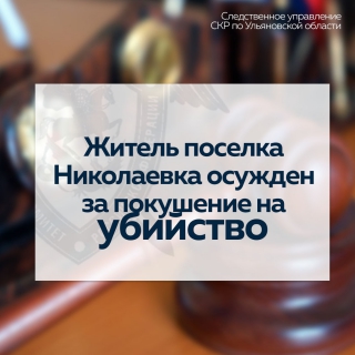 Житель поселка Николаевка осужден за покушение на убийство
