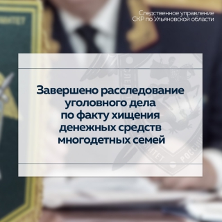 В Ульяновской области завершено расследование уголовного дела по факту хищения денежных средств многодетных семей