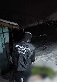В Новоспасском районе мужчина обвиняется в убийстве знакомой